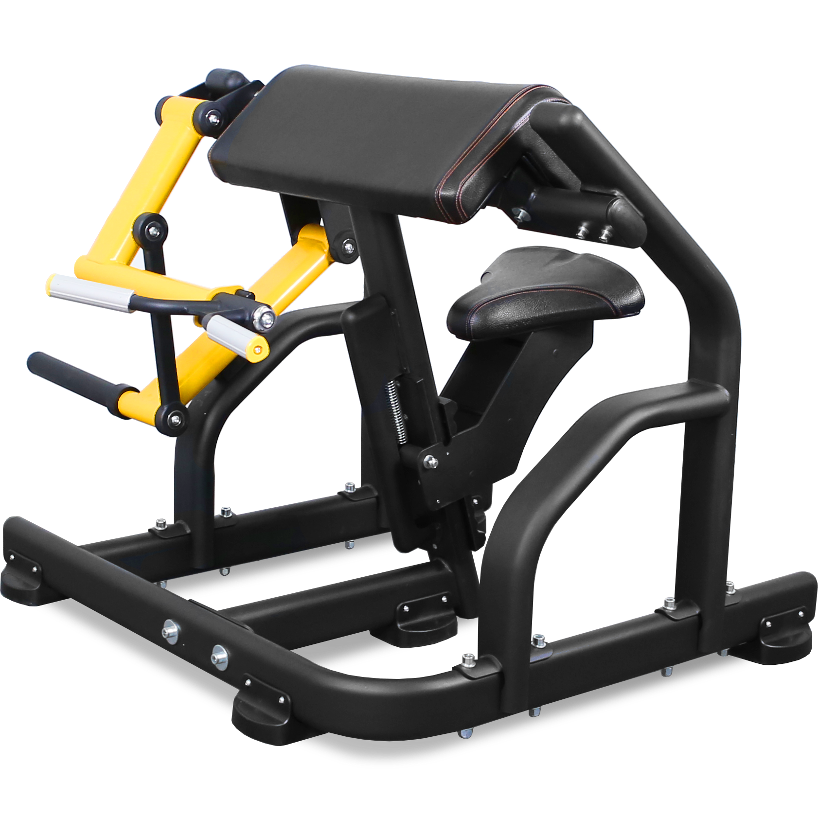 BRONZE GYM PL-1713 Бицепс